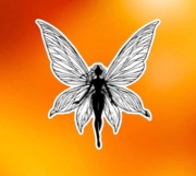 Fairy circles's avatar