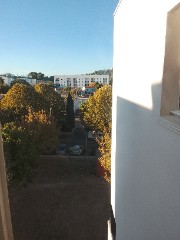 Songentertainment's avatar