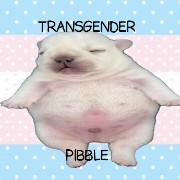 TransPibble's avatar