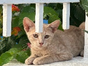 ྀིྀིPolls for fun ྀིྀི 's avatar