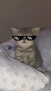 Louuuu 😼🗿's avatar