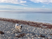 Soline🎱🪩's avatar