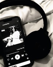 ⋮ ⌗ ┆Yuki ᯓ ✈︎⌞ ⌝'s avatar