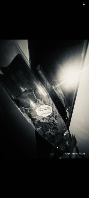 Alyyy🩹☁️'s avatar