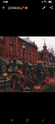 @Alexis🍂🍁's avatar