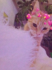 Vivile 💖's avatar