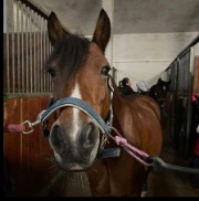 SEREN_SEREN🫶's avatar