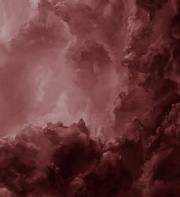 Sophhhhh 👹🦦's avatar