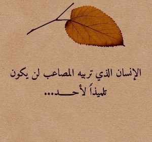 العراقي 's avatar