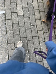 Manouche 🧿's avatar