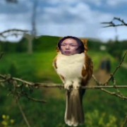 Namgooner 😻👅❤️‍🩹's avatar