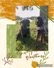 ~Cute Dog~&~Me~'s avatar