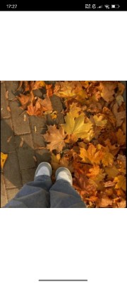 🍁Coco🍁's avatar