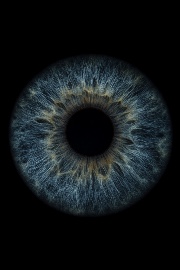 ✨🎀Alexane💗✌🏼's avatar