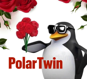 PolarTwin 🌹's avatar