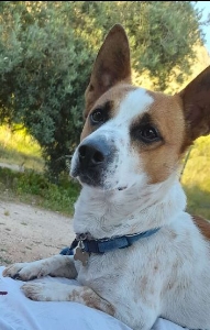 Francyyyy💝💝💛🖤's avatar