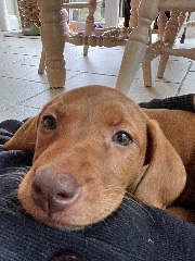 lottie 💿's avatar