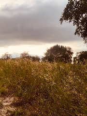 Maddie_031913's avatar