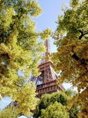 Jeannette 🌸🪼🌸's avatar