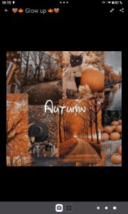 🤎🍁 Glow up 🍁🤎's avatar