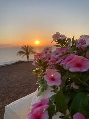 M&L👯‍♀️'s avatar