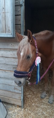 @Jumpingiza 's avatar