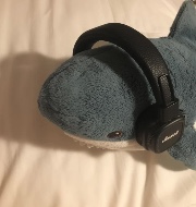 Moan 🦦🤍's avatar