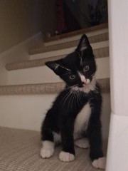 DrunkElephant 's avatar