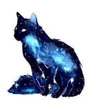 ꧁۝une𐙚obsédé۝꧂'s avatar