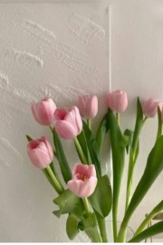 Ice_cream✨'s avatar