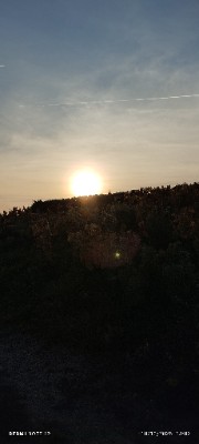 ~Gin@🪽🪩's avatar