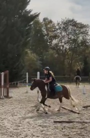 Dis moi tout's avatar