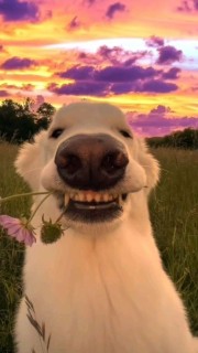 My Random Life's avatar