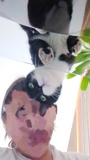 Catalïa 🎀's avatar