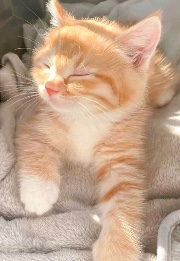 ☁️ lune blanche ²⁰²⁵ 's avatar