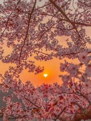 🎀Stay français🎀's avatar