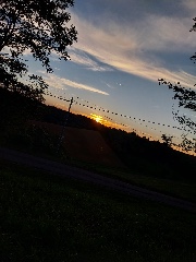 ✨🌸 Rose 🌸✨'s avatar