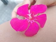 Ruschelle🖍's avatar