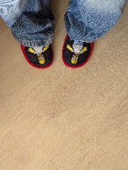 🏳️‍🌈La team LGBT🏳️‍🌈's avatar