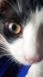 🔥only girls🔥's avatar