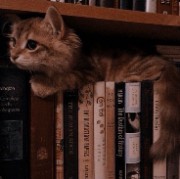 ~Bianca ♡ un vie une fille 's avatar