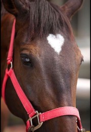 🦖🤙🤪Amyyy🤪🤙🦖's avatar