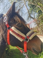 Isi and me du58's avatar