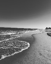 Elyna 🫶🏼's avatar