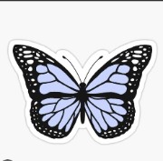 Butterfly🦋's avatar