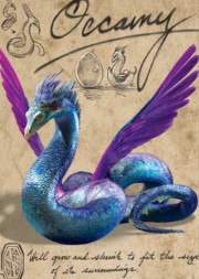 Occami 🐍's avatar