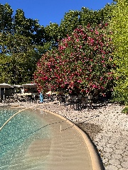 🍡🌸Juste moi🌸🍡's avatar