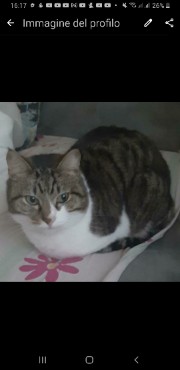 Mici_oanonim's avatar