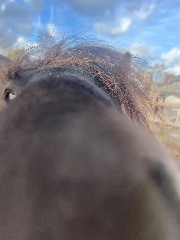 Toundra le caca 's avatar