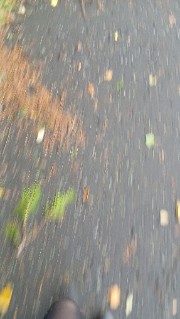 Annaslifexxxx's avatar